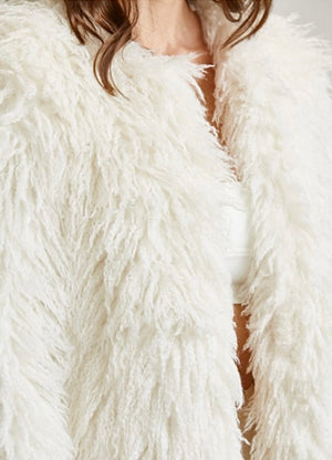 Holly Coat
