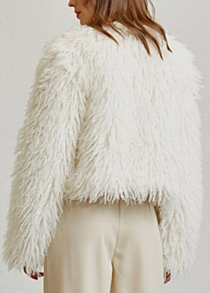 Holly Coat